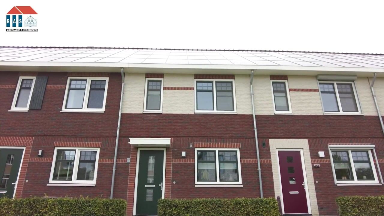 Video of Weegbree 57