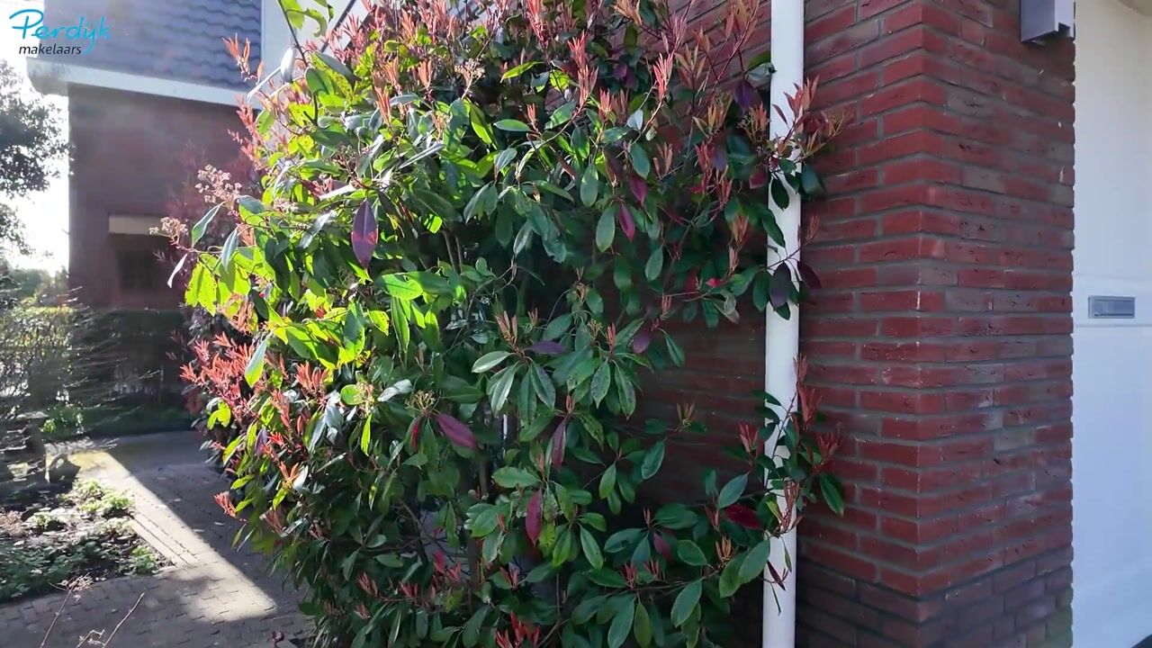 Video of Noordelijke Dwarsweg 5