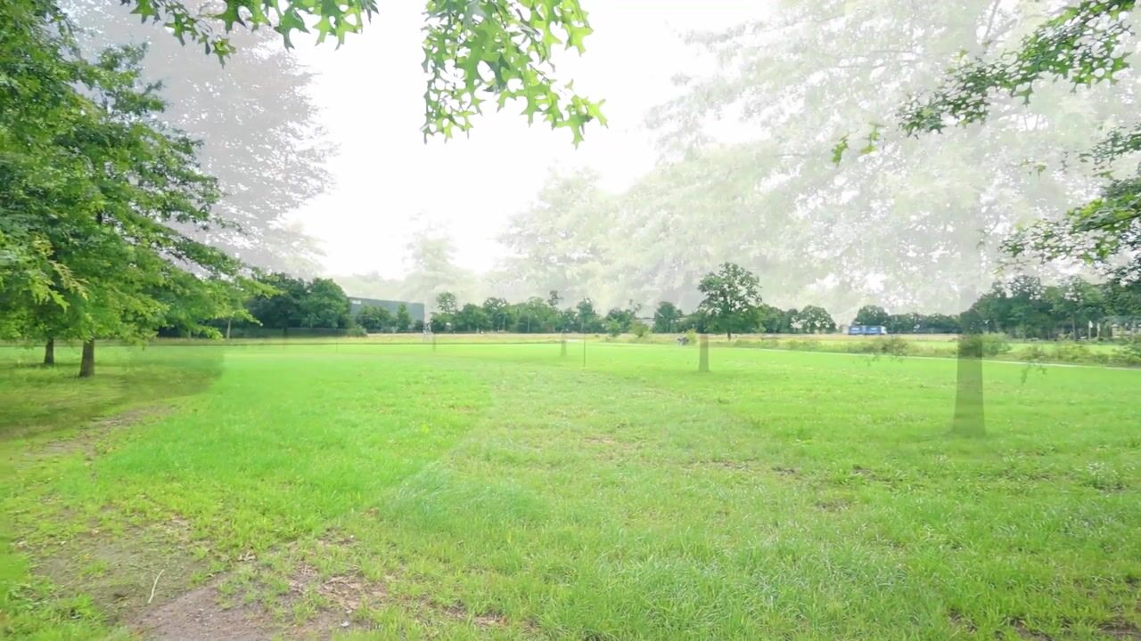 Video van Otelaarseweg 25