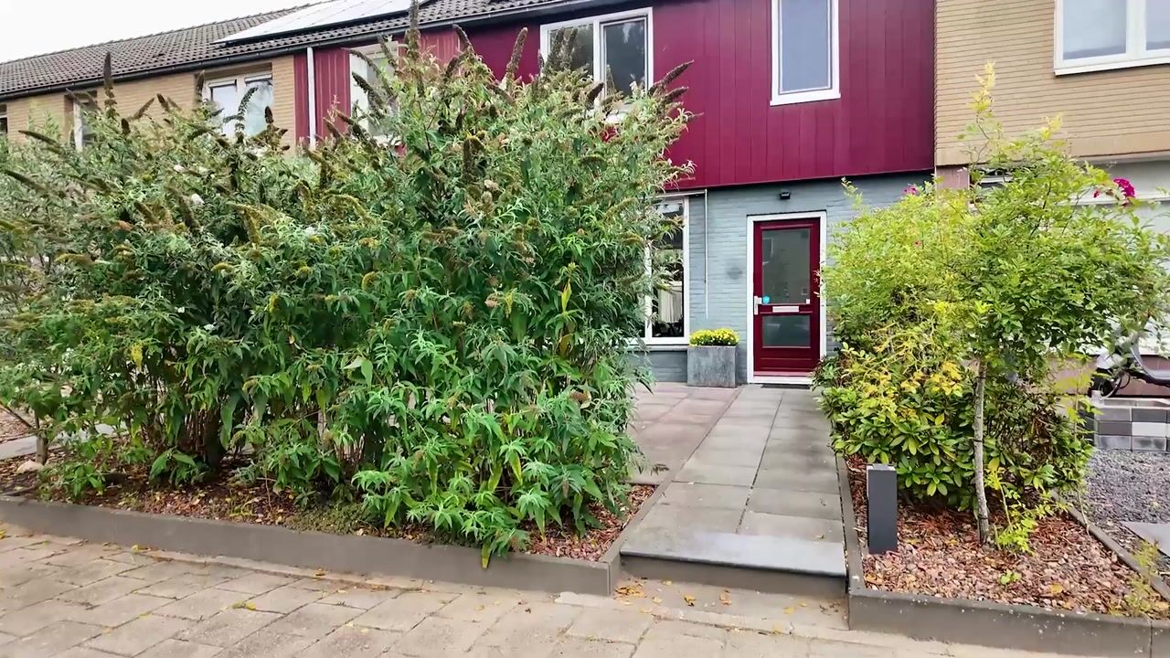 Video van Hofsingel 39