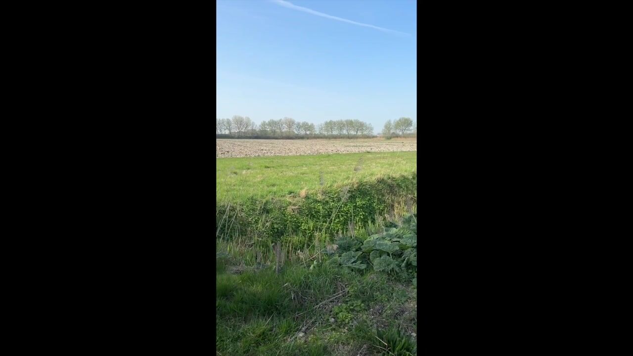 Video van Ankervere 4