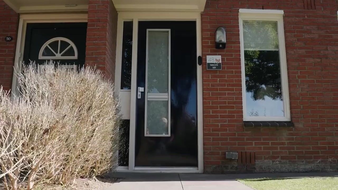 Video van Vlier 48