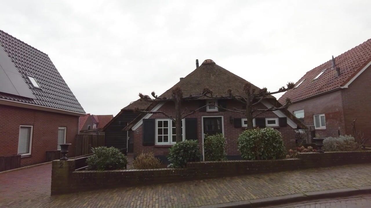 Video van Molenbelt 2