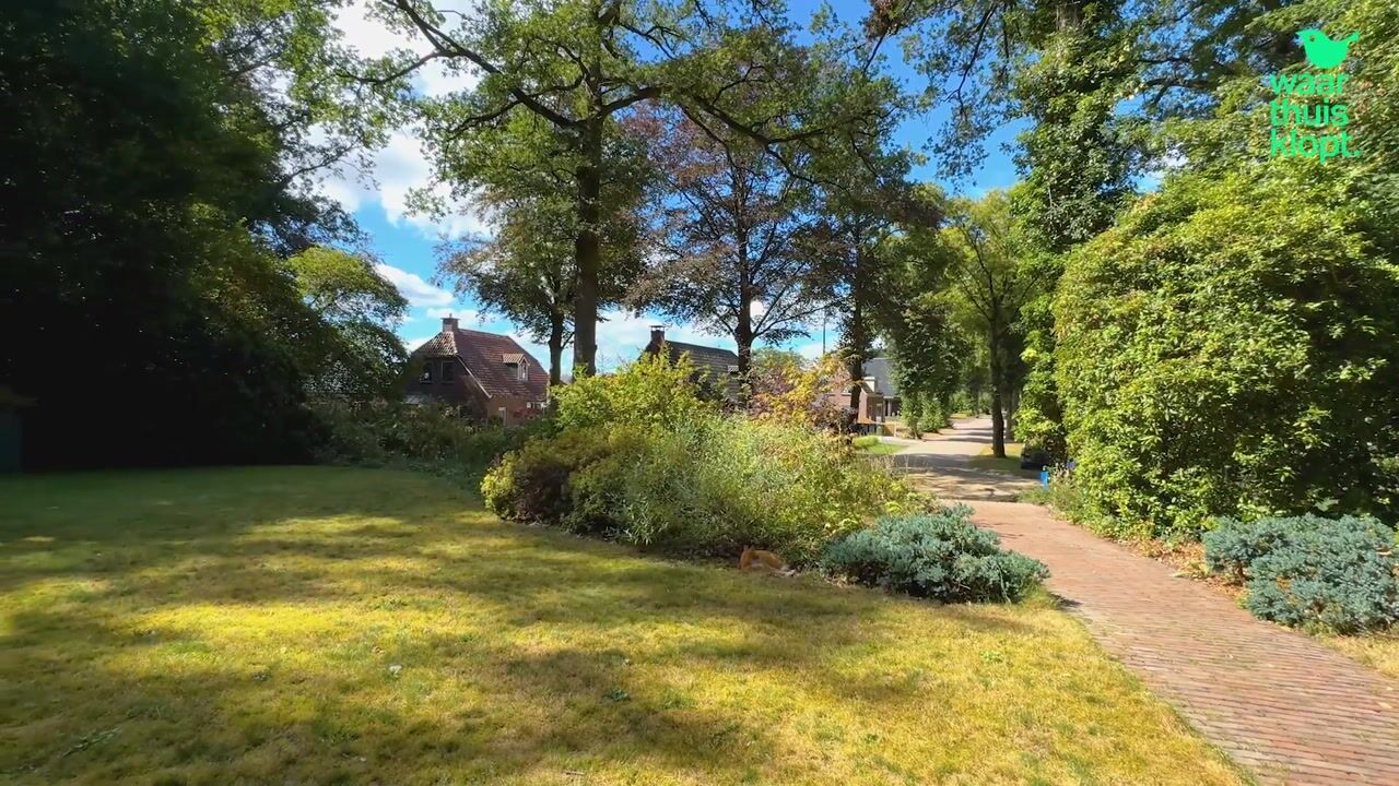 Video of Wilhelminastraat 29