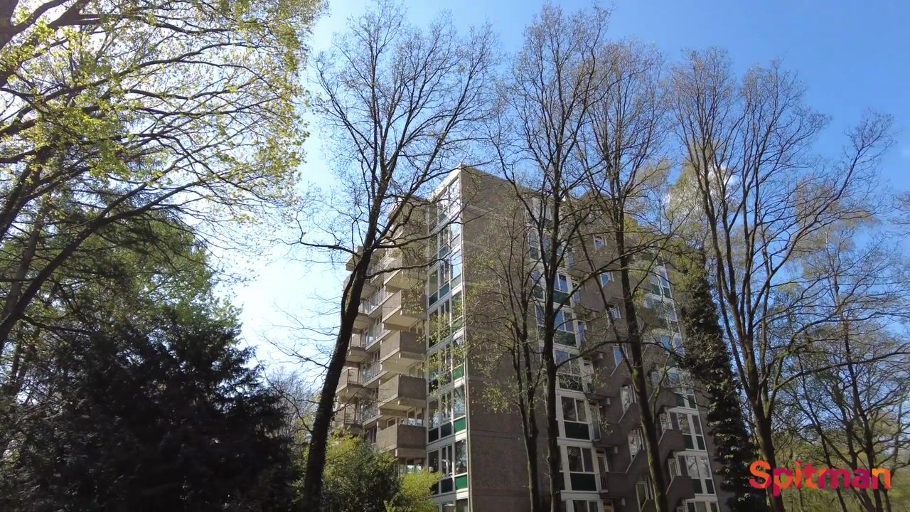 Video van Koningsberg 16