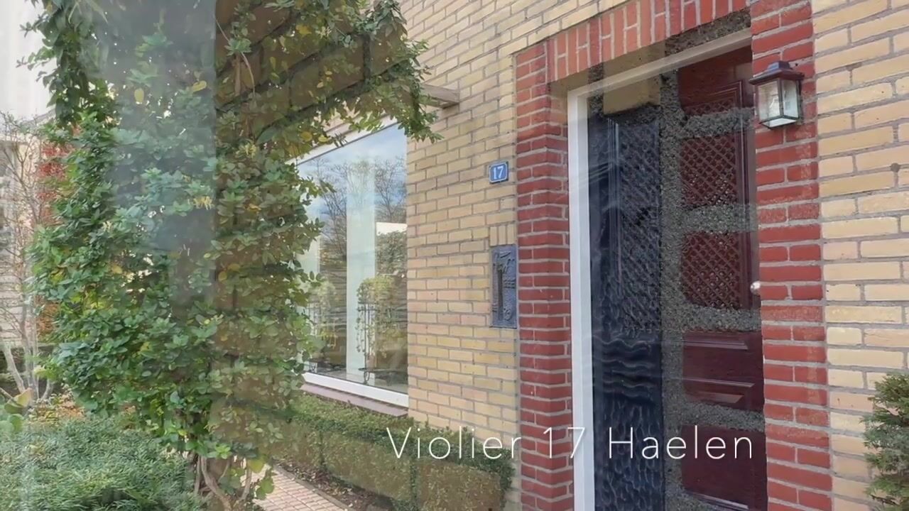 Video van Violier 17