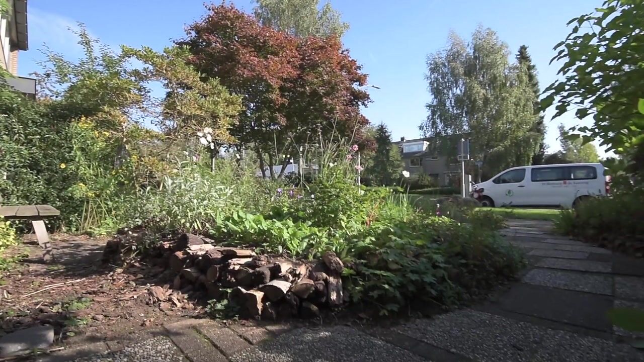 Video of Steynlaan 120