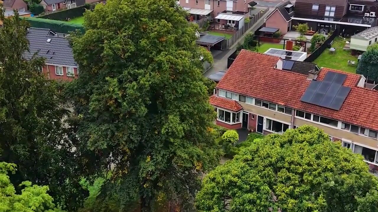 Video van Paulus Potterstraat 42