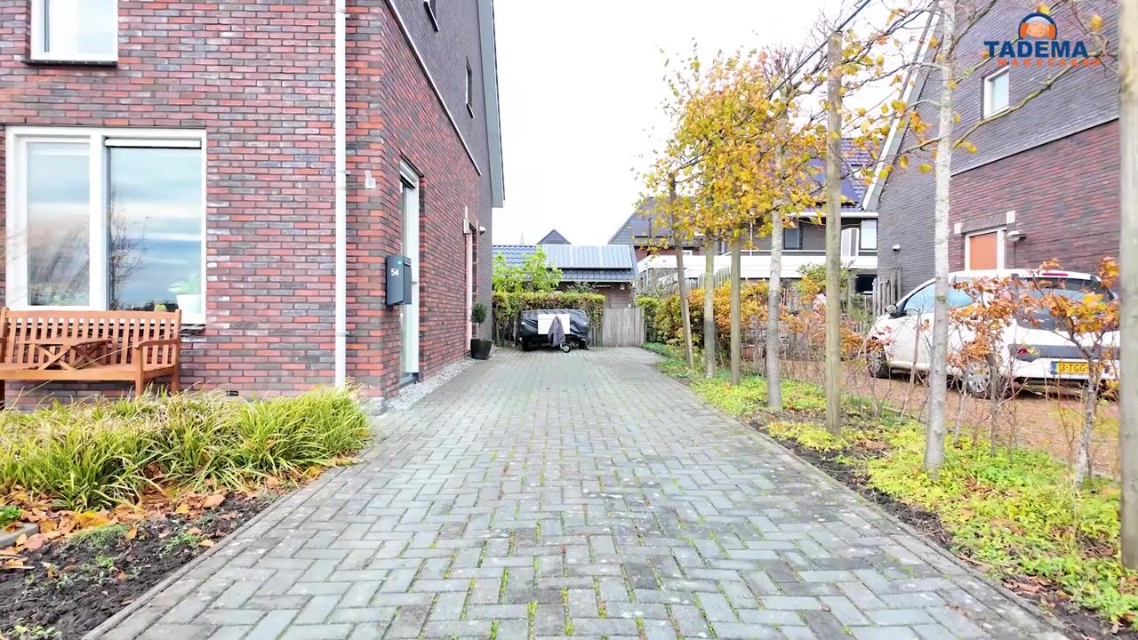 Video of It Blauleech 54