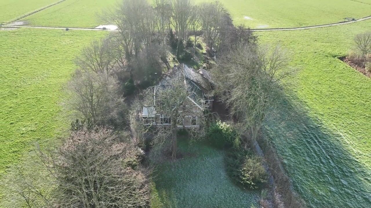 Video van Goldhoorn 25