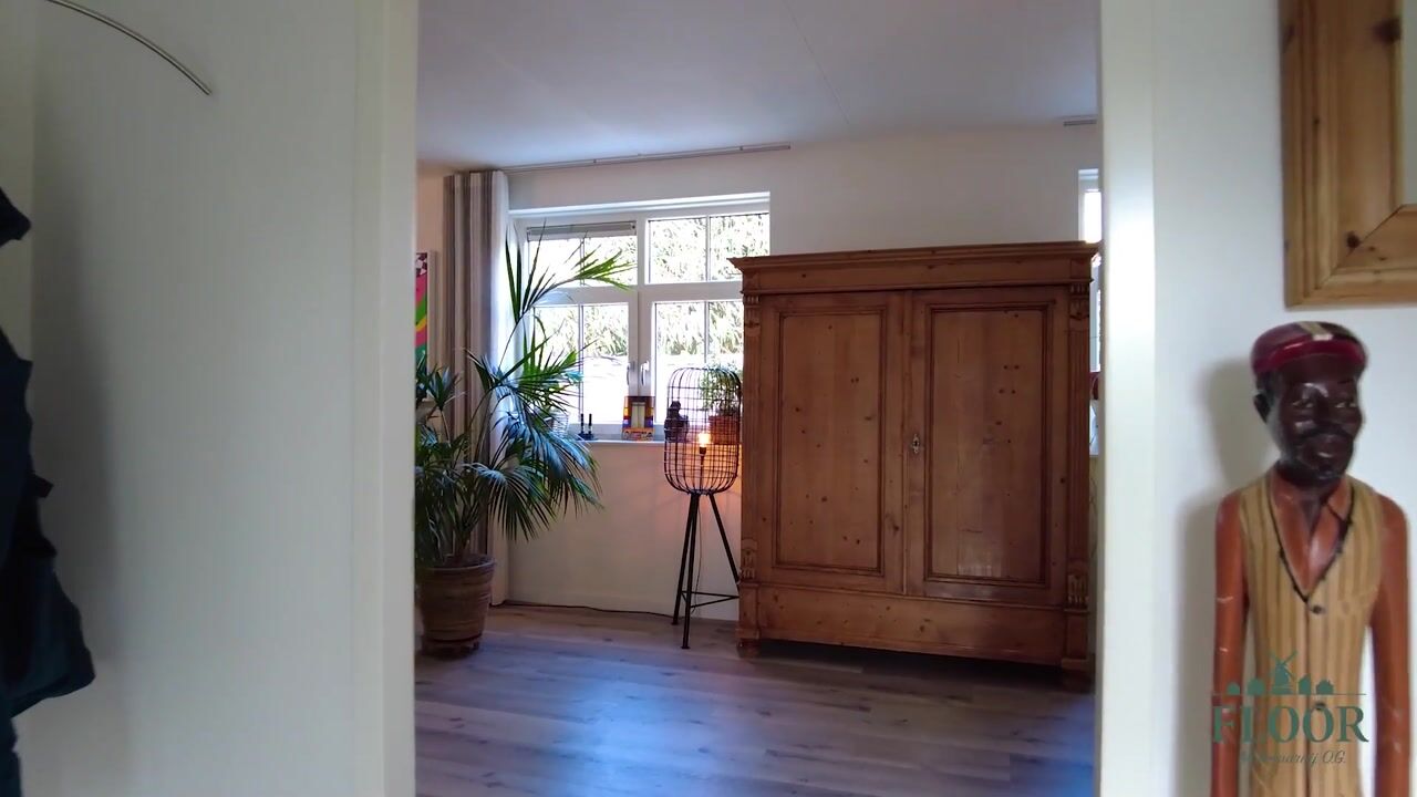 Video of Miedemahof 3