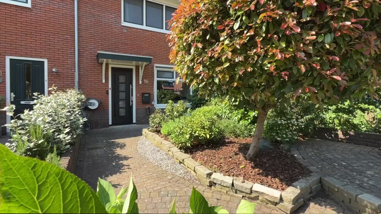 Video of Curiestraat 16