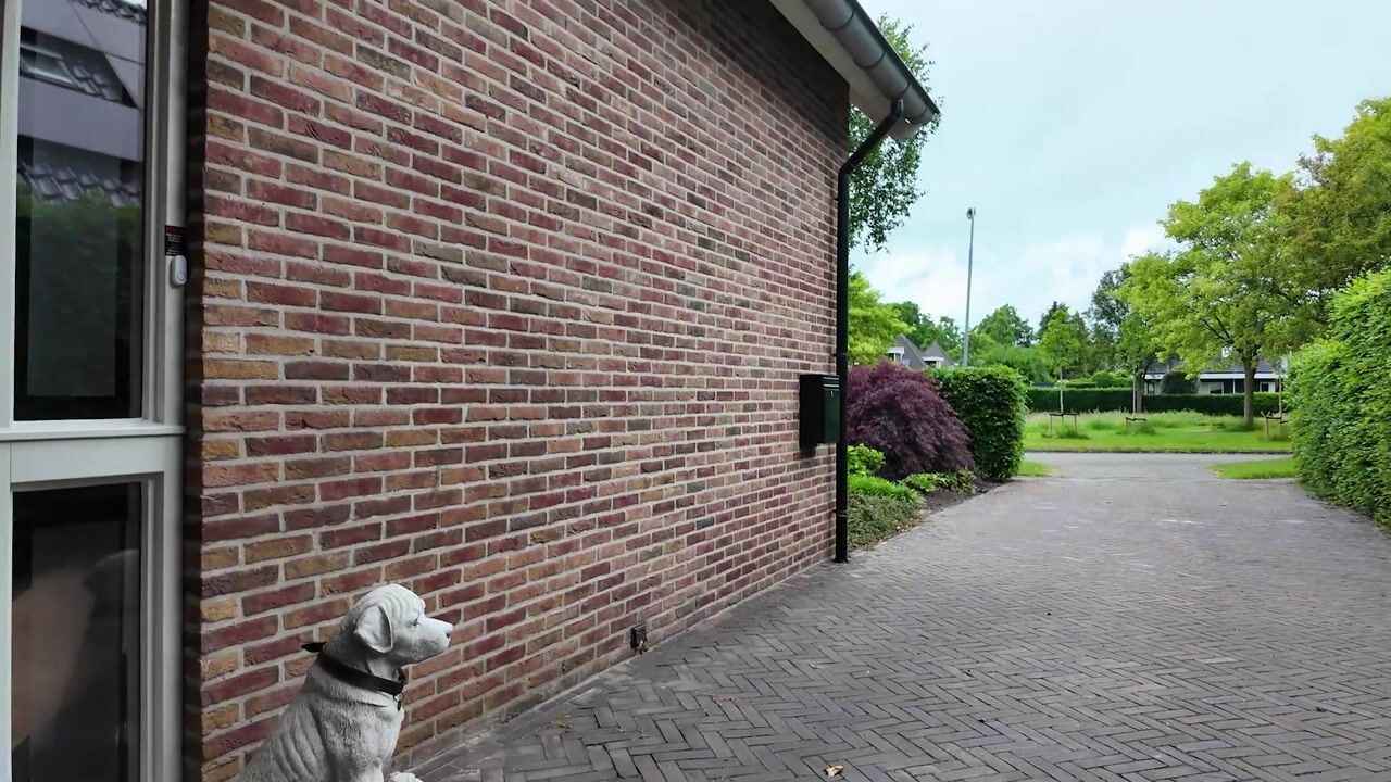 Video van Turfring 22