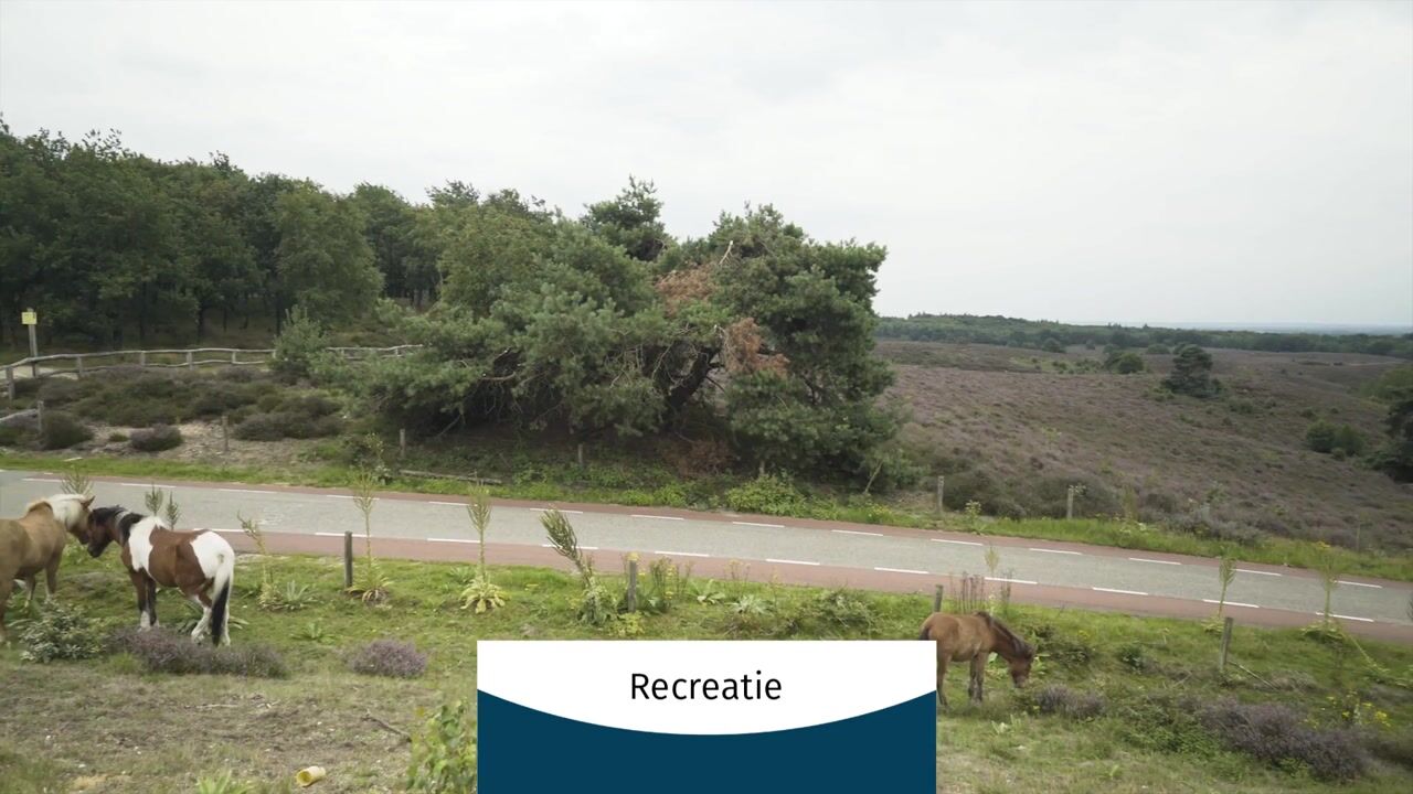 Video of Schoolweg 13-A