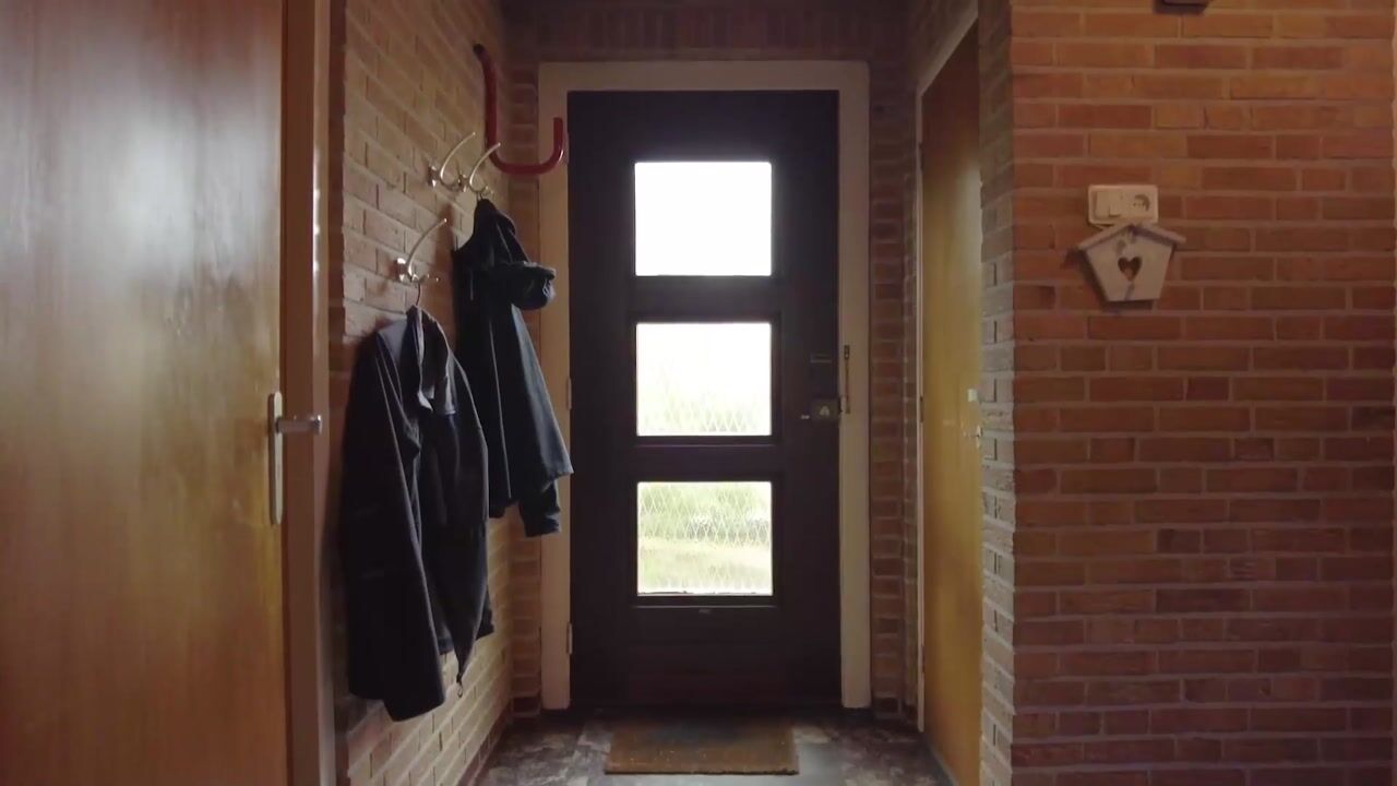 Video of Jacob van Ruysdaelstraat 12