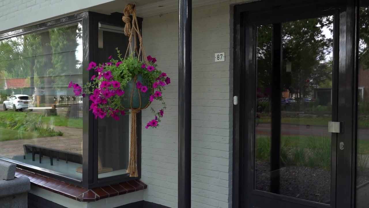 Video van Wilhelminastraat 87