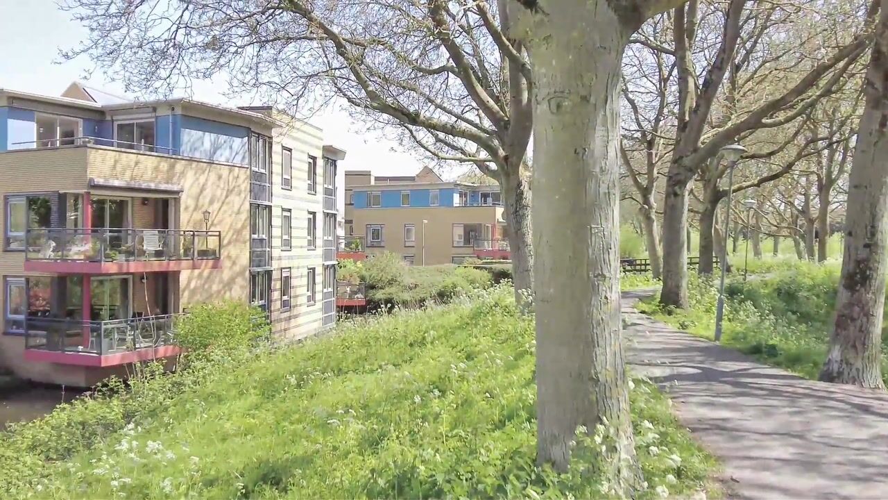 Video van Rusthout 50