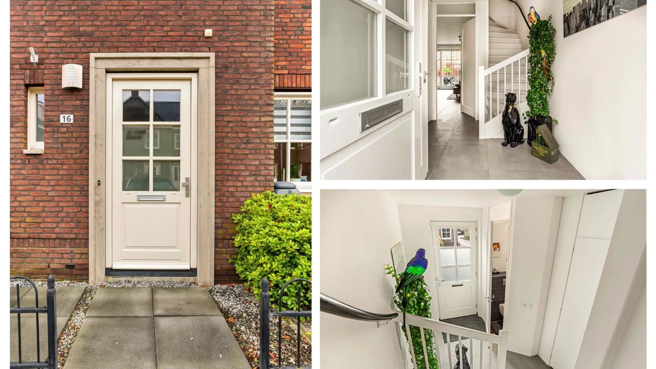 Video van Wetering 16