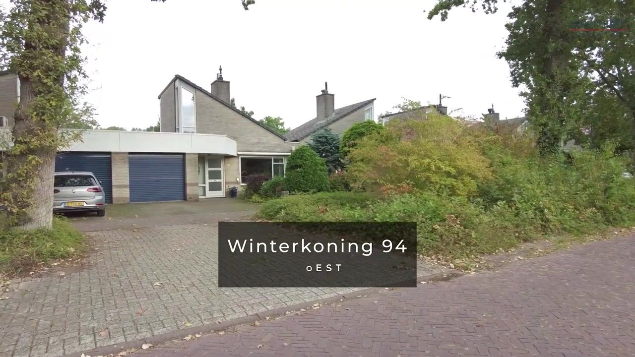 Video van Winterkoning 94