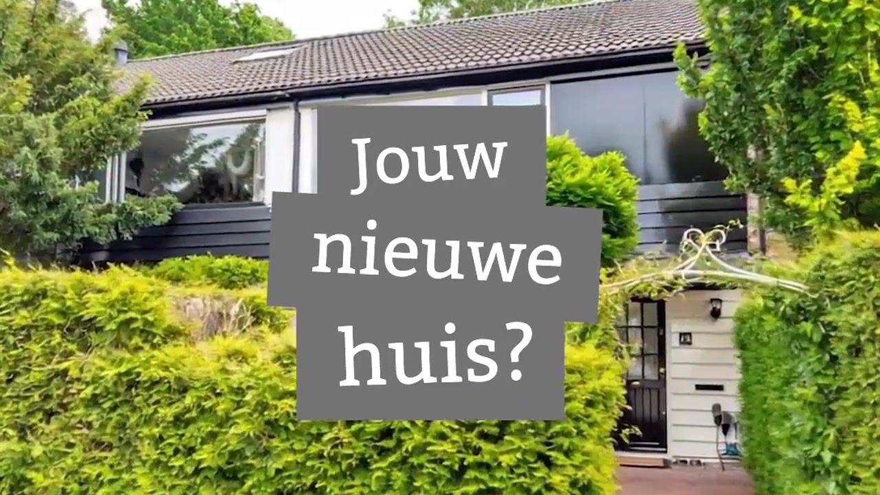 Video van van Hamelstraat 25