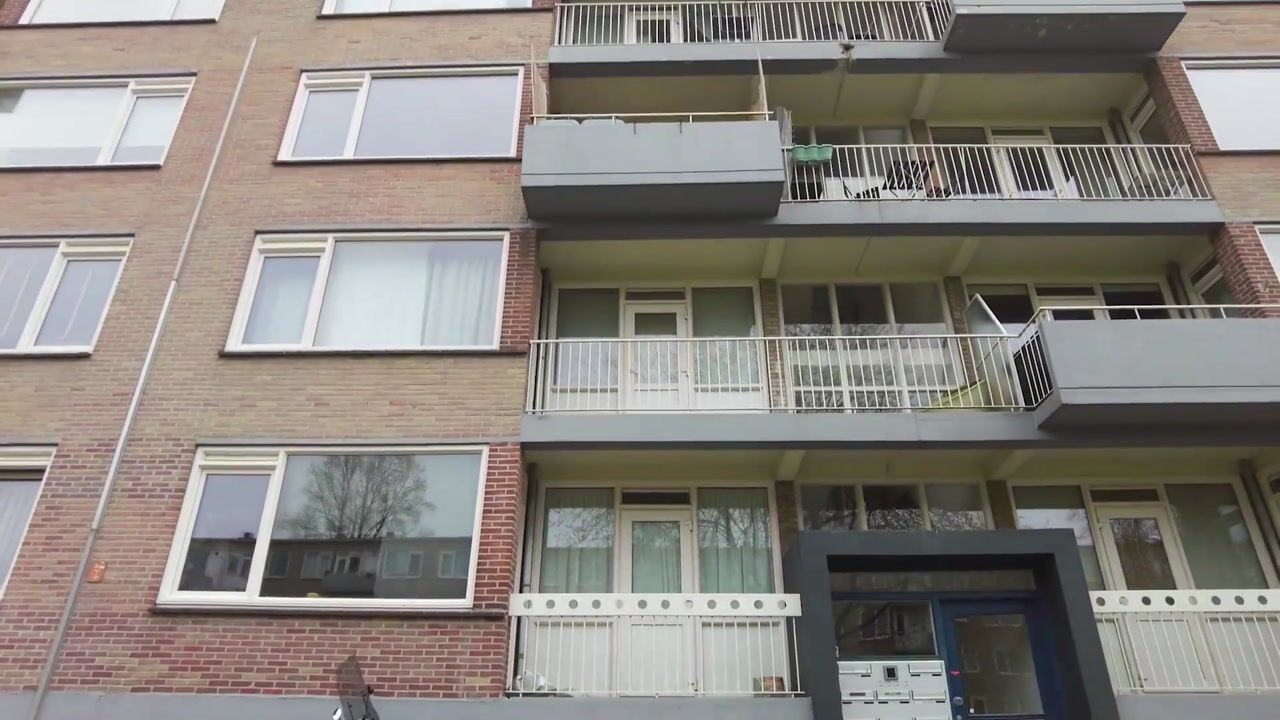 Video of Europalaan 179