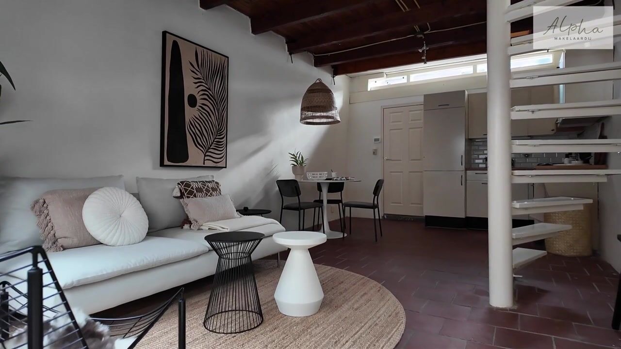 Video of Speldenmakerssteeg 4