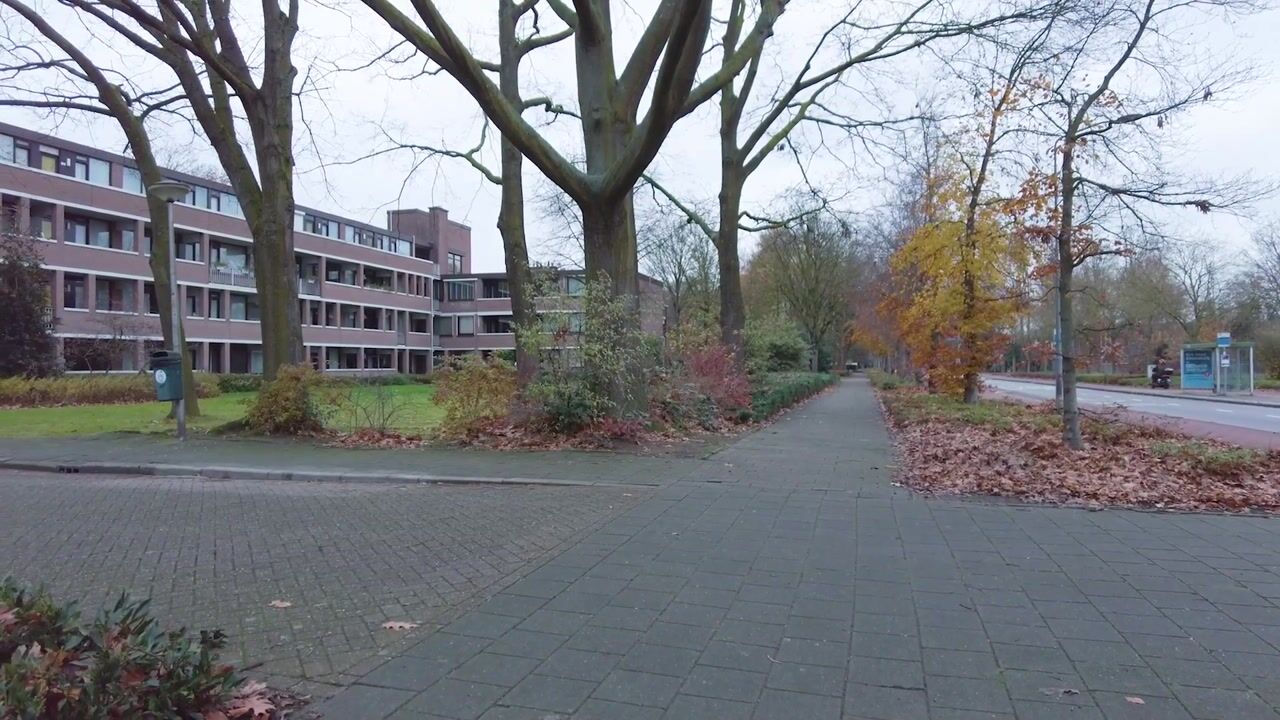 Video of De Smelen 83