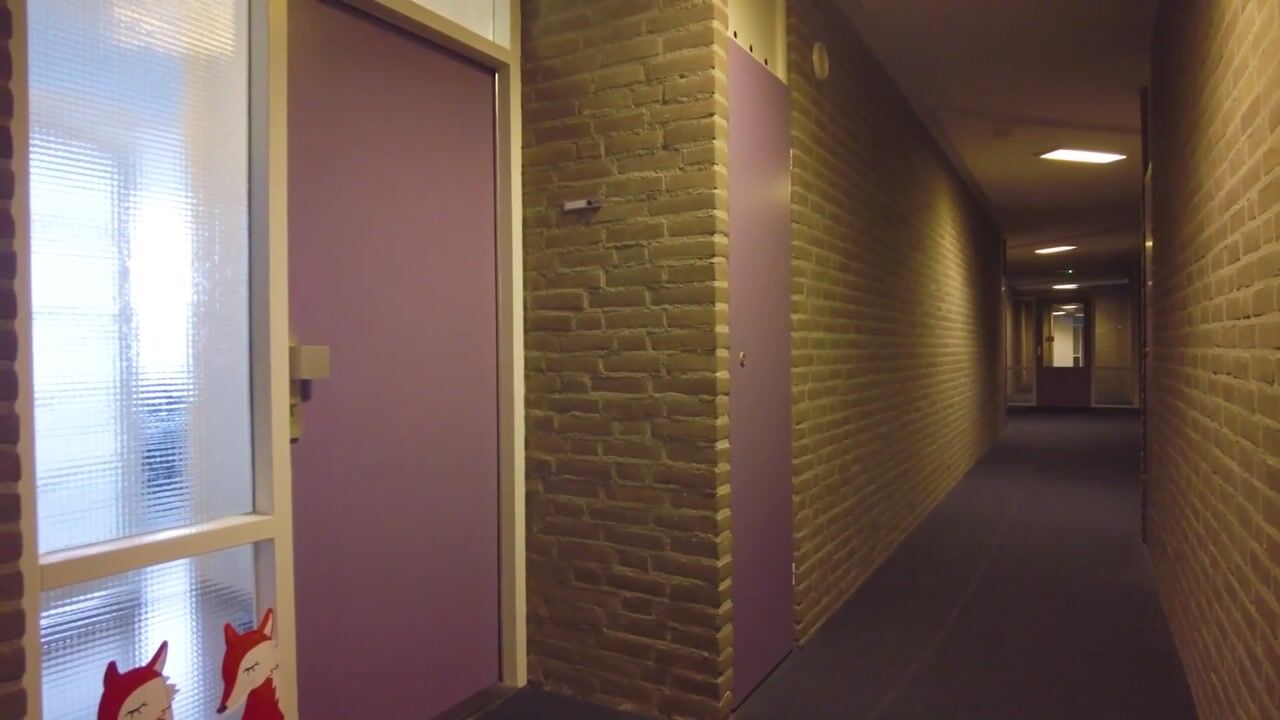 Video van Kruisakker 62-A