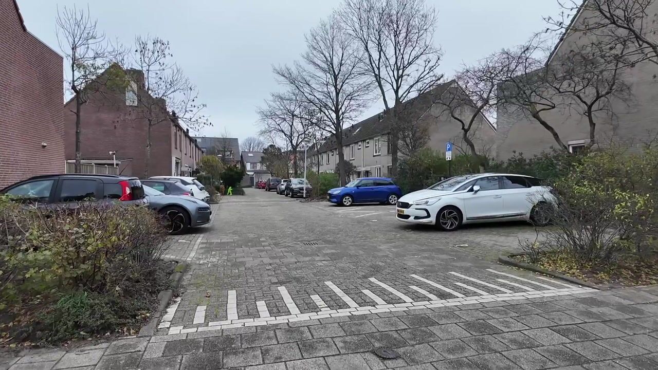 Video of H. Roland Holstweg 29