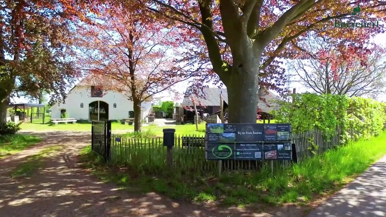 Video of Schiphorsterstraat 16