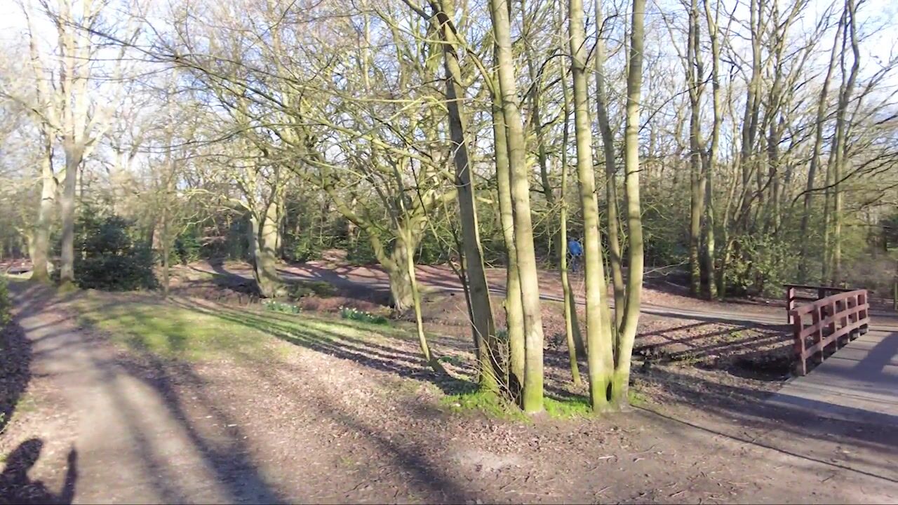 Video van Cees Laseurlaan 233