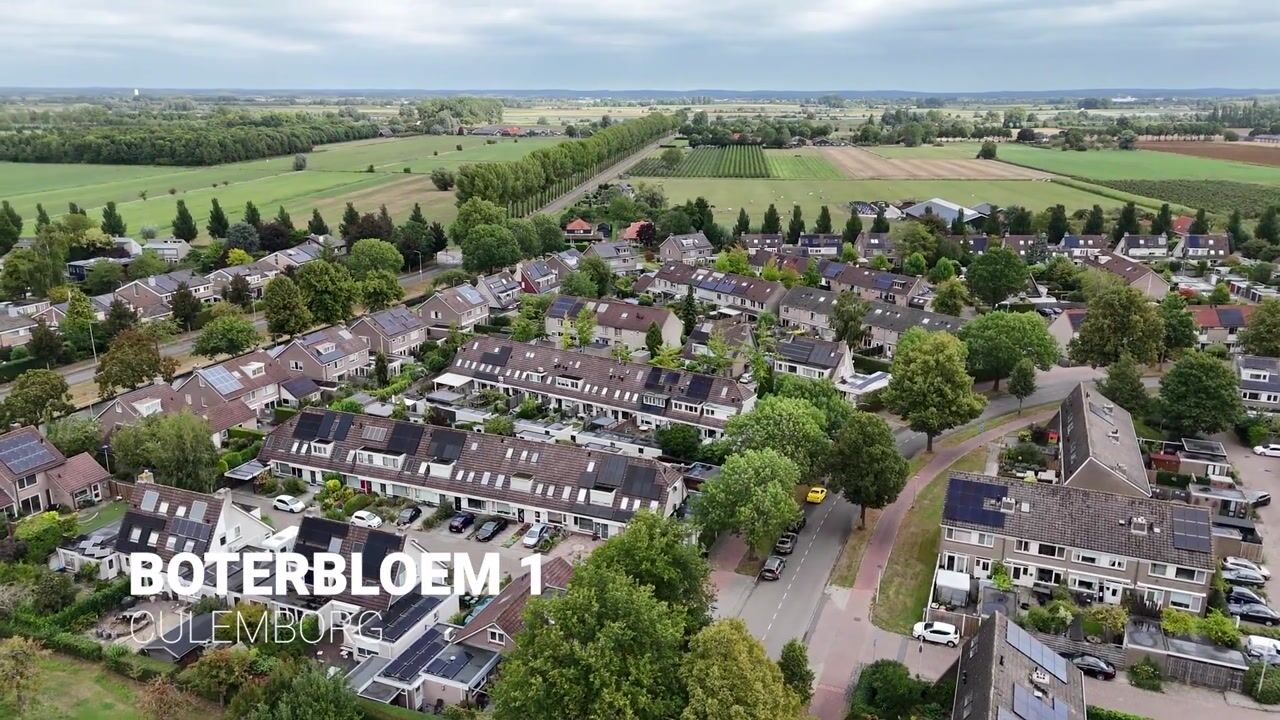 Video of Boterbloem 1