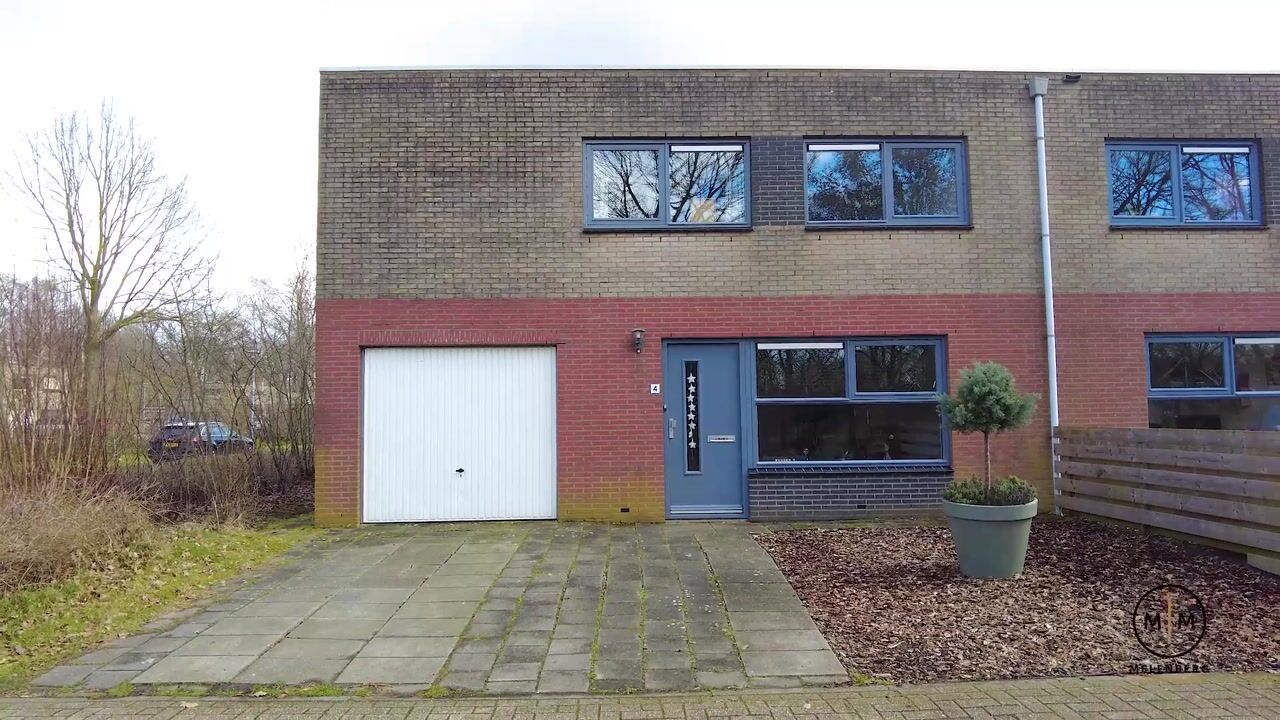 Video van Sneeuwuil 4