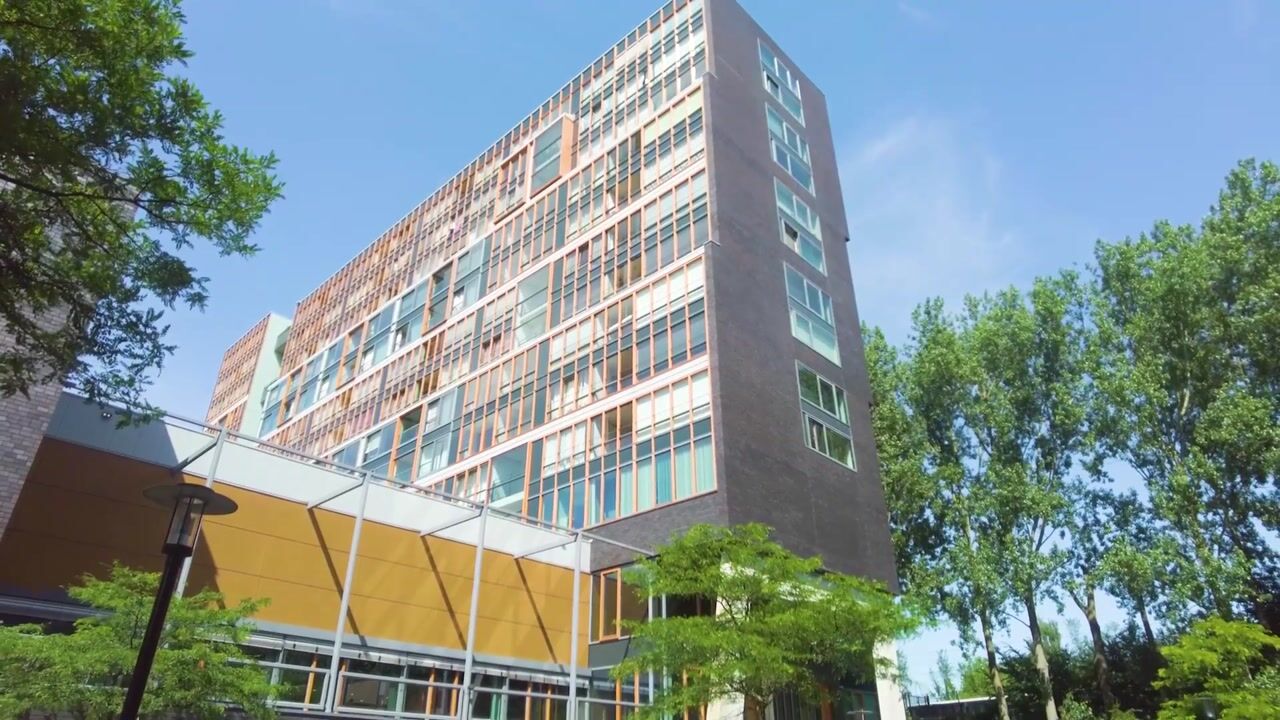Video of Jacques Veltmanstraat 15