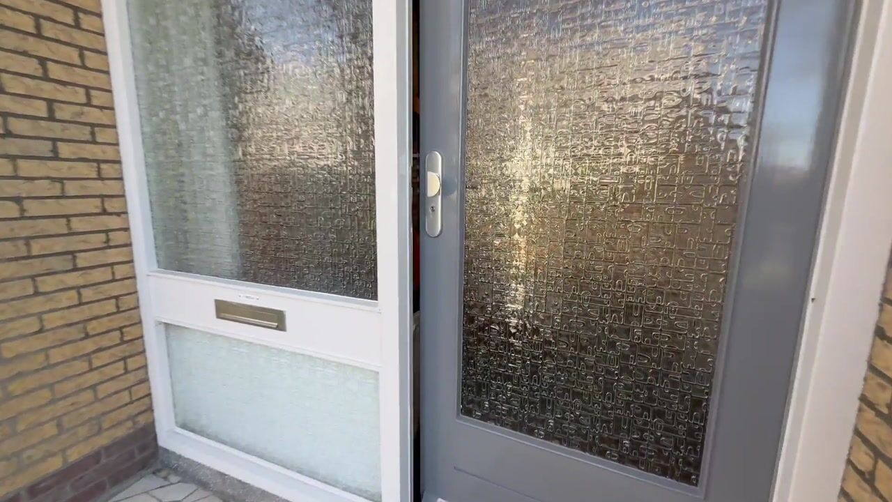 Video van Ranonkelstraat 46