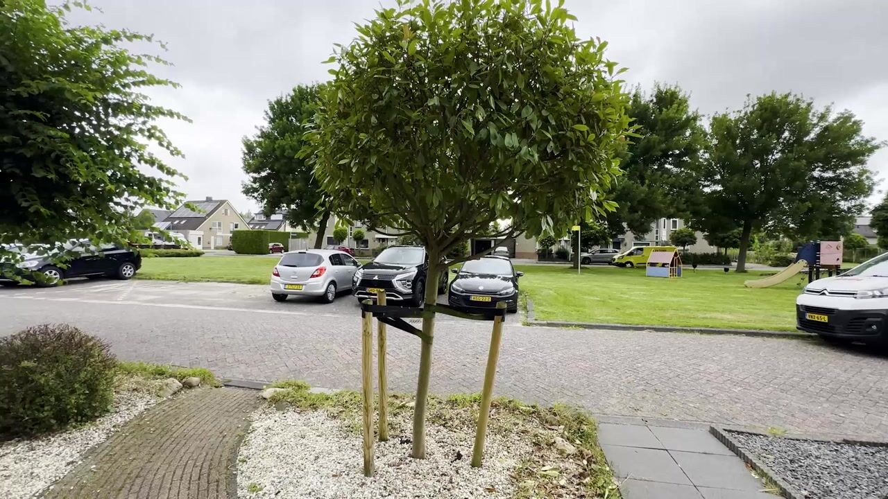 Video van Rijnse Gulden 11