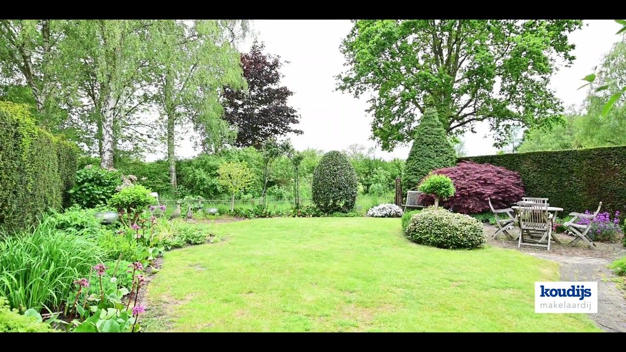 Video van Schout 95