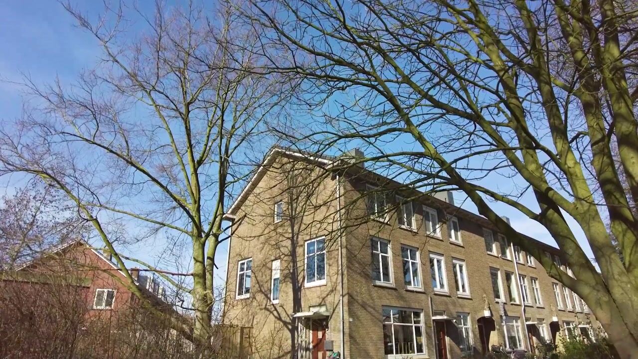 Video van Pa Verkuijllaan 173
