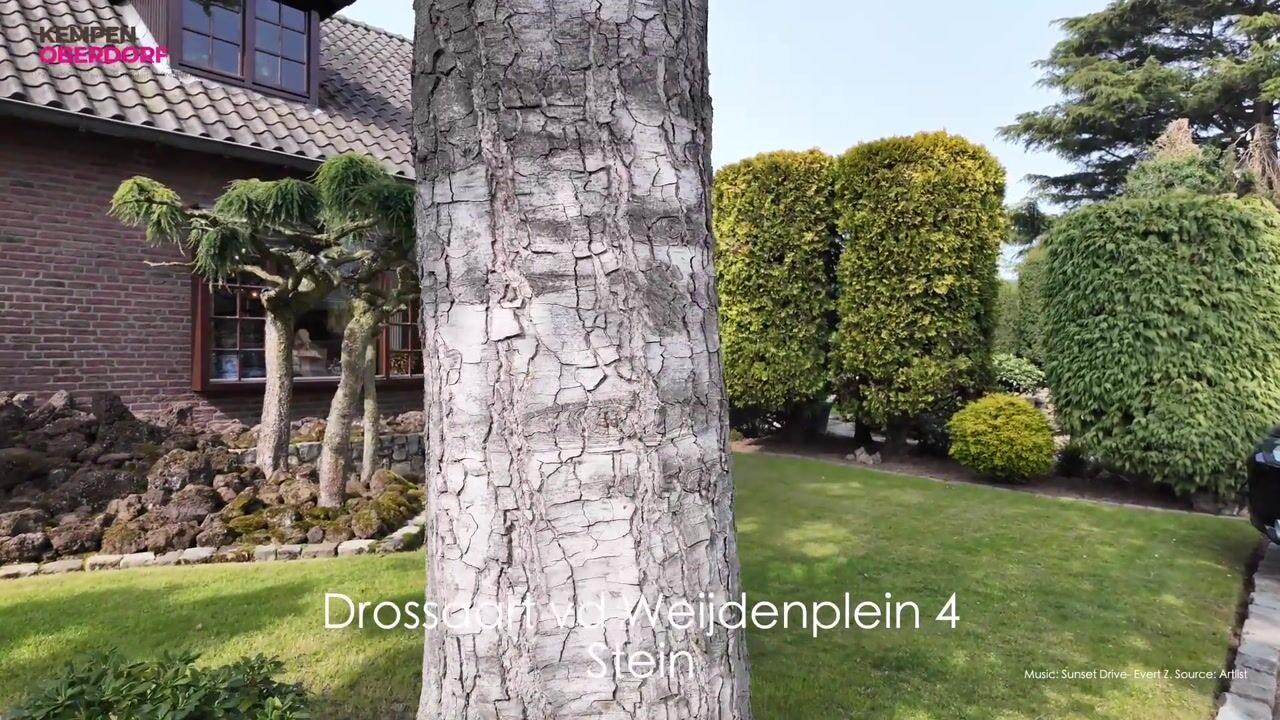 Video of Dross vd Weijdenplein 4