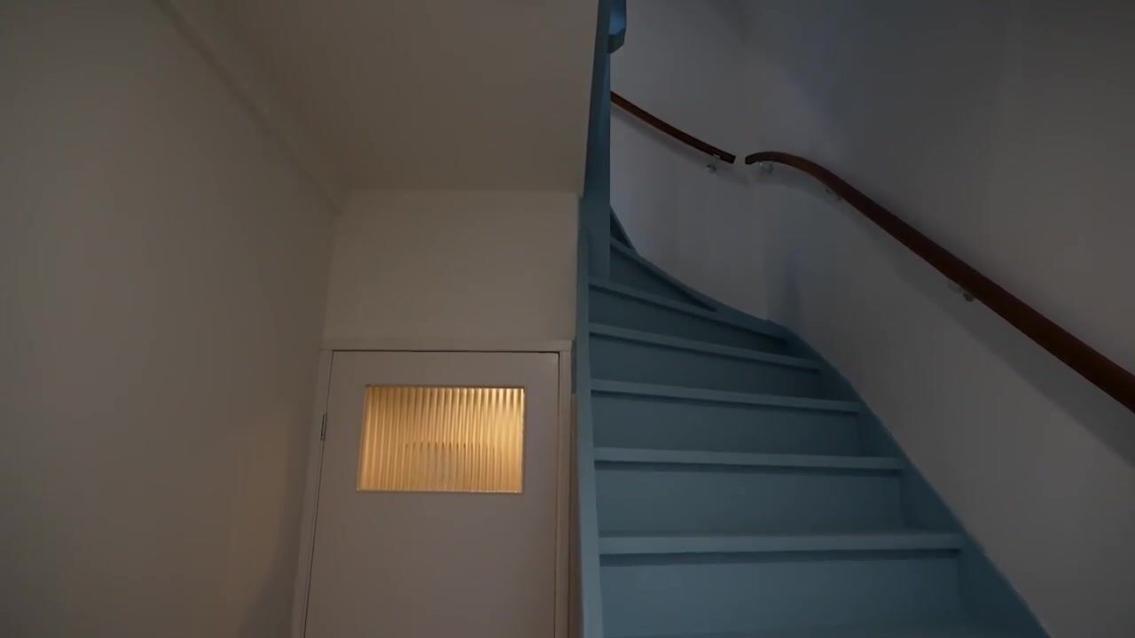 Video van Molenstraat 23