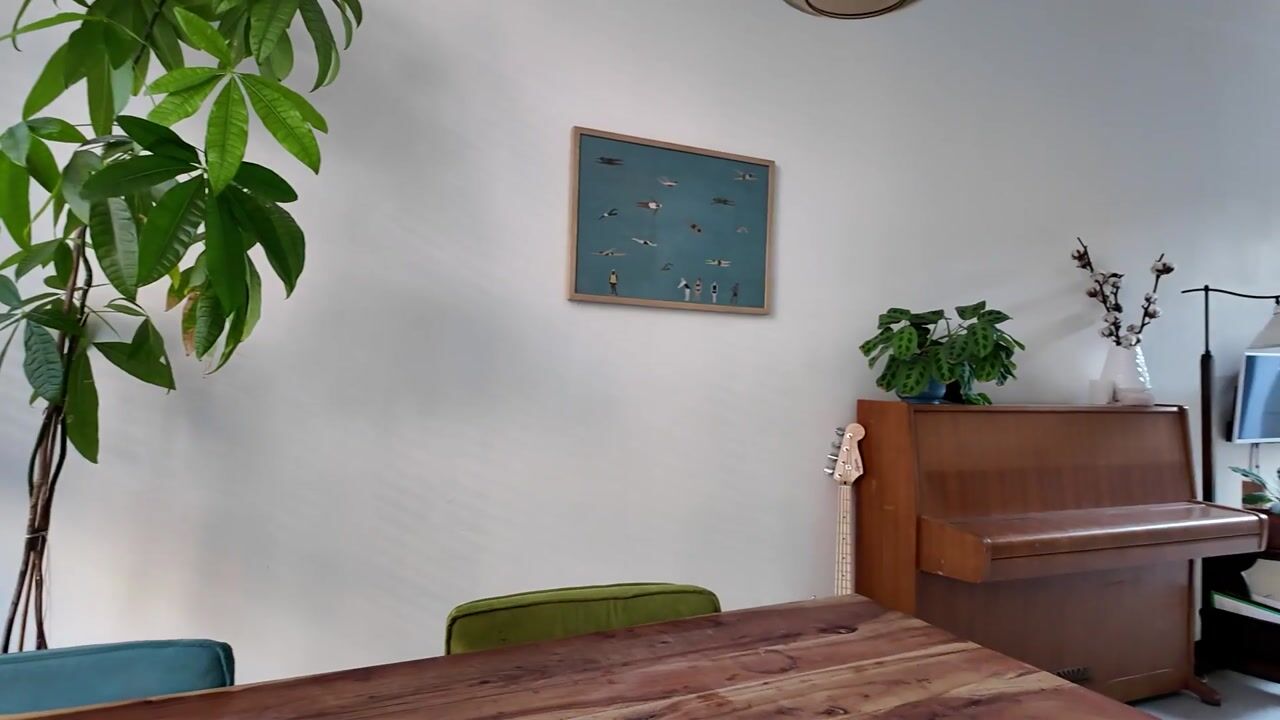 Video van Lijsterstraat 60