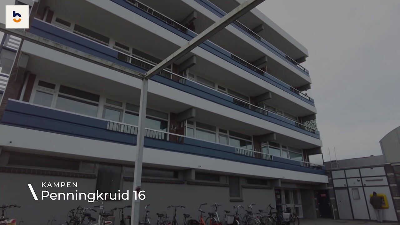Video of Penningkruid 16
