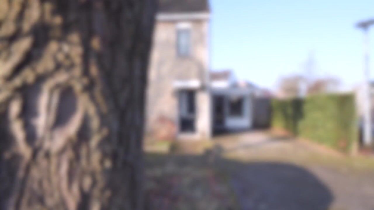 Video van A.N.van Pellecomhof 10