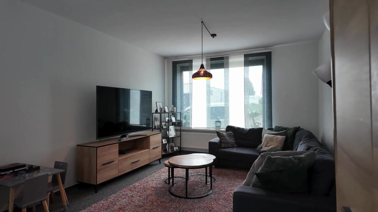 Video van Hellebaardruwe 19