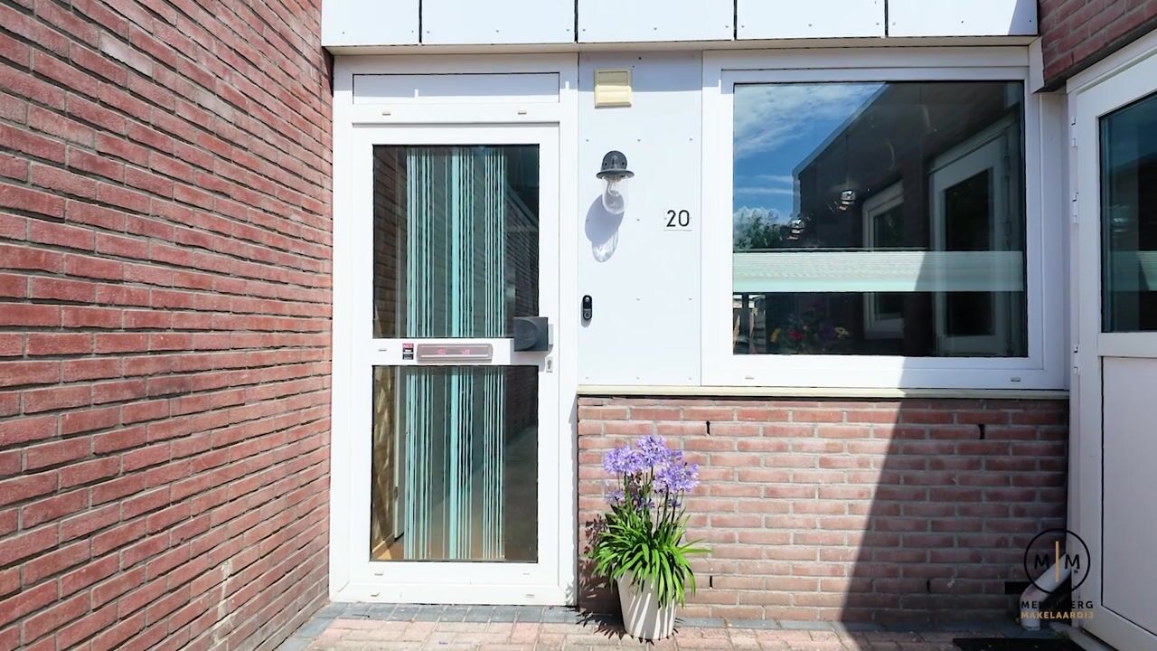 Video van Houtduif 20