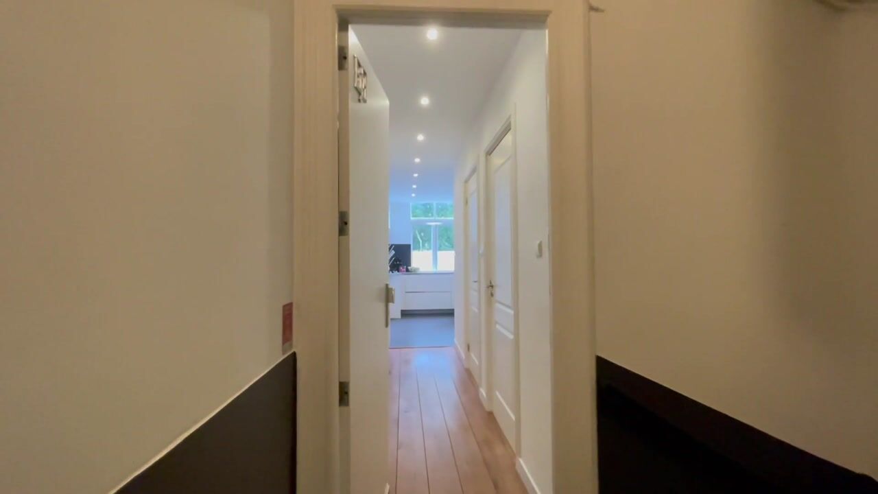 Video of Overtoom 484-2