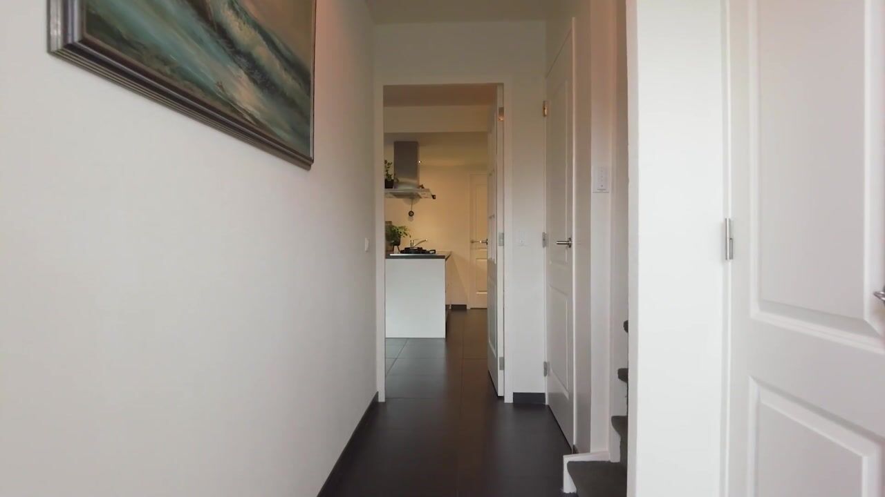 Video van Mispelgaarde 2