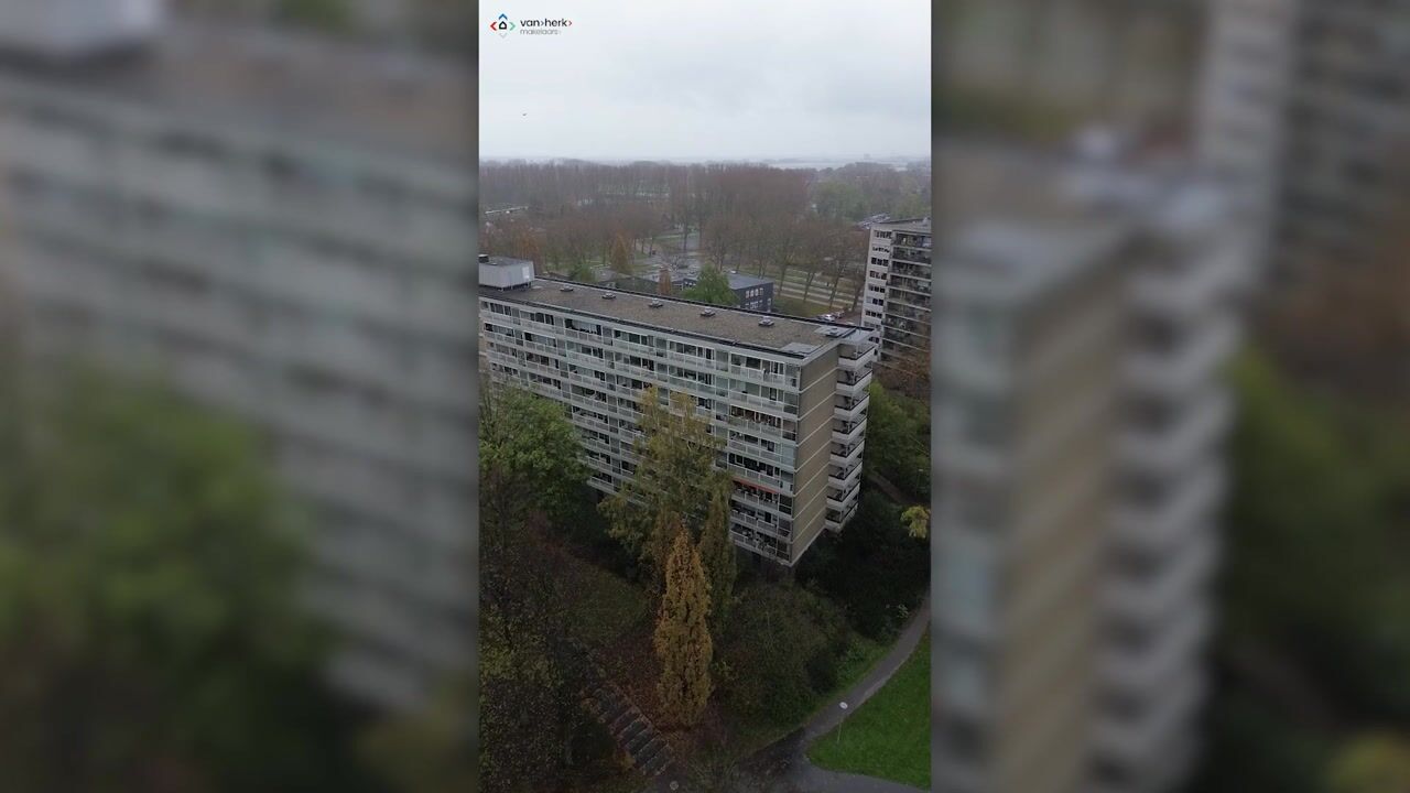 Video van André Gideplaats 313