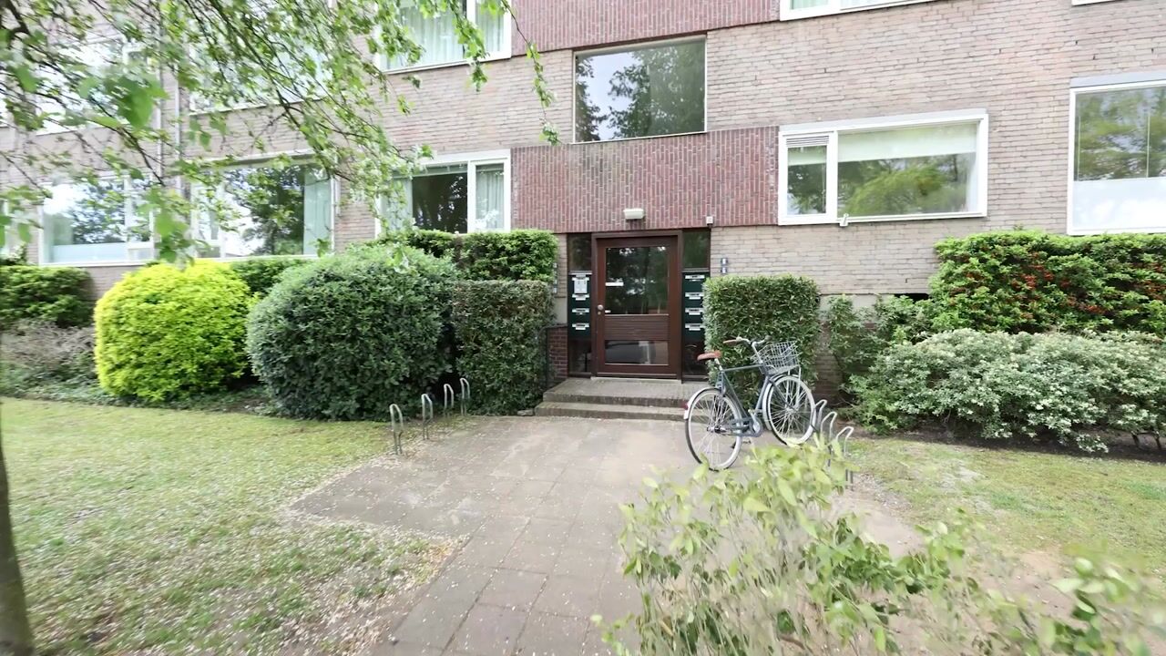 Video of Dingostraat 8