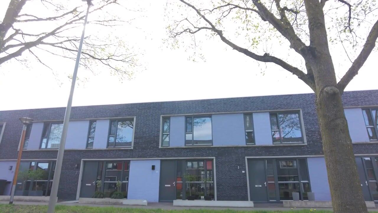 Video of Paardenbloem 25